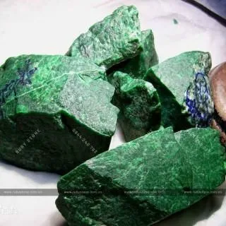 TIANGLONGSHENG (Thiết Long Sinh) những kiến thức bạn cần biết