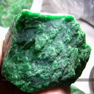 TIANGLONGSHENG (Thiết Long Sinh) những kiến thức bạn cần biết