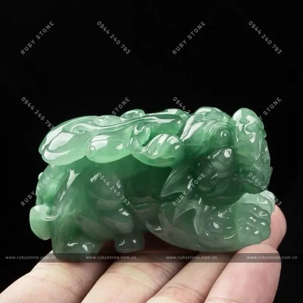 Phỉ Thuý Phù Dung Chủng - Loài Hoa Dâm Bụt