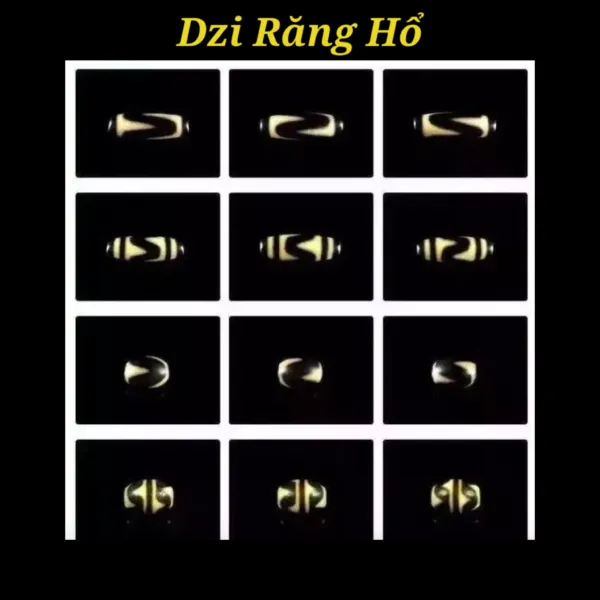 Khám phá bí ẩn hạt Dzi Tây Tạng. Dzi là gì? Số mắt trên hạt Dzi mang ý nghĩa như thế nào?