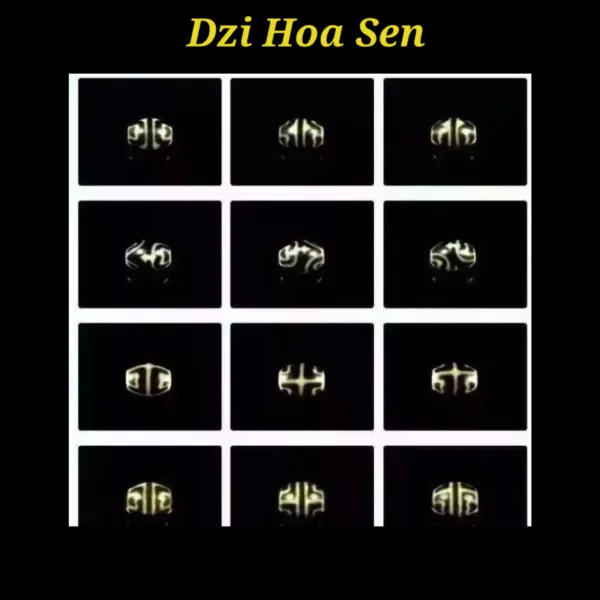 Khám phá bí ẩn hạt Dzi Tây Tạng. Dzi là gì? Số mắt trên hạt Dzi mang ý nghĩa như thế nào?