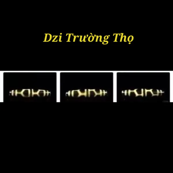 Khám phá bí ẩn hạt Dzi Tây Tạng. Dzi là gì? Số mắt trên hạt Dzi mang ý nghĩa như thế nào?