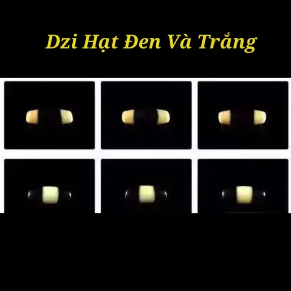 Khám phá bí ẩn hạt Dzi Tây Tạng. Dzi là gì? Số mắt trên hạt Dzi mang ý nghĩa như thế nào?