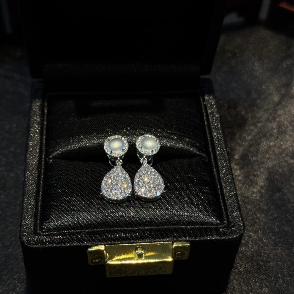 Khuyên tai ngọc phỉ thuý thuỷ tinh chủng