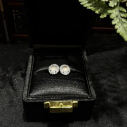 Khuyên tai ngọc phỉ thuý thuỷ tinh chủng Khuyên tai ngọc phỉ thuý thuỷ tinh chủng