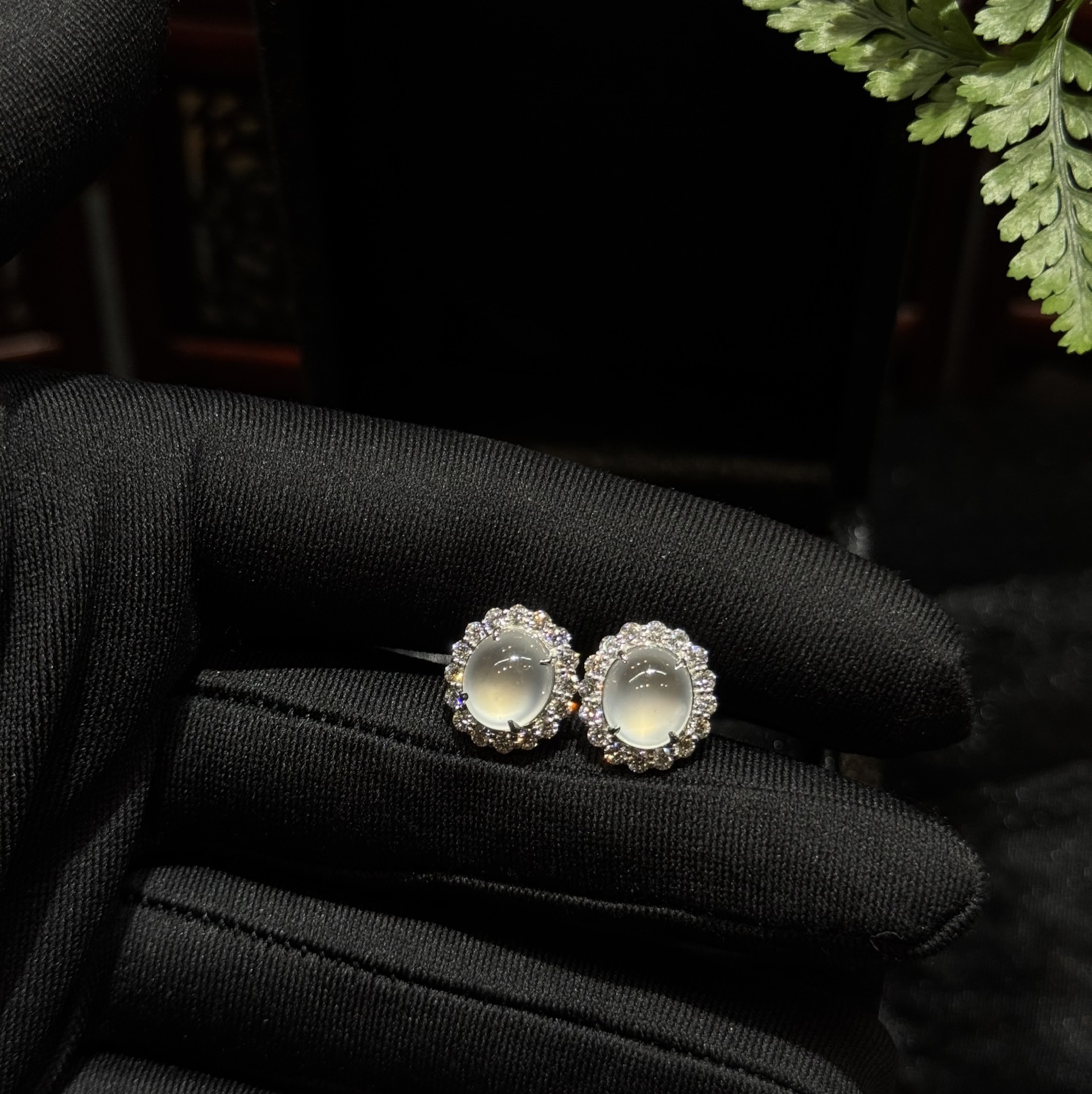 Khuyên tai ngọc phỉ thuý thuỷ tinh chủng Khuyên tai ngọc phỉ thuý thuỷ tinh chủng - Ảnh 4