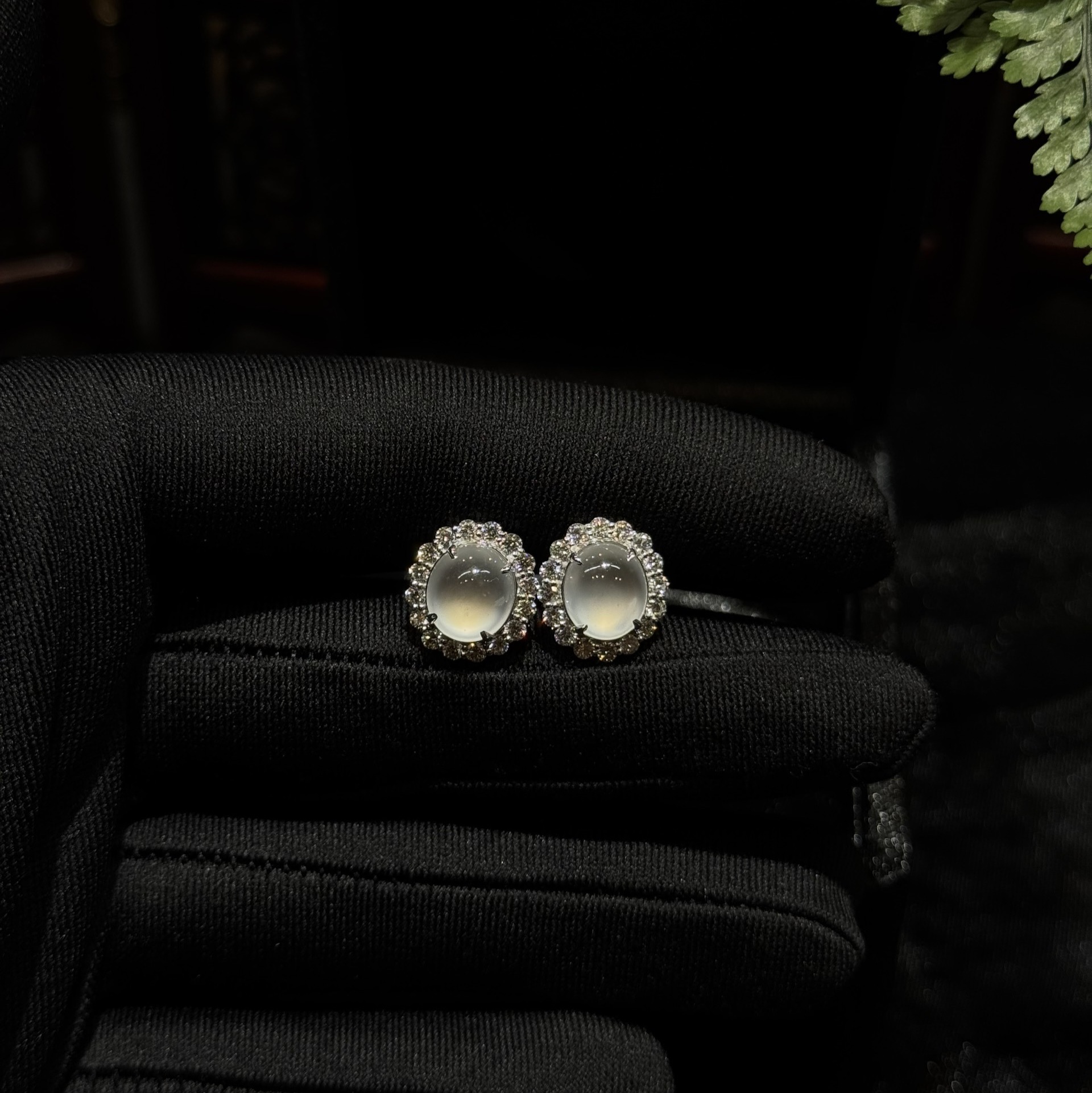 Khuyên tai ngọc phỉ thuý thuỷ tinh chủng Khuyên tai ngọc phỉ thuý thuỷ tinh chủng - Ảnh 3