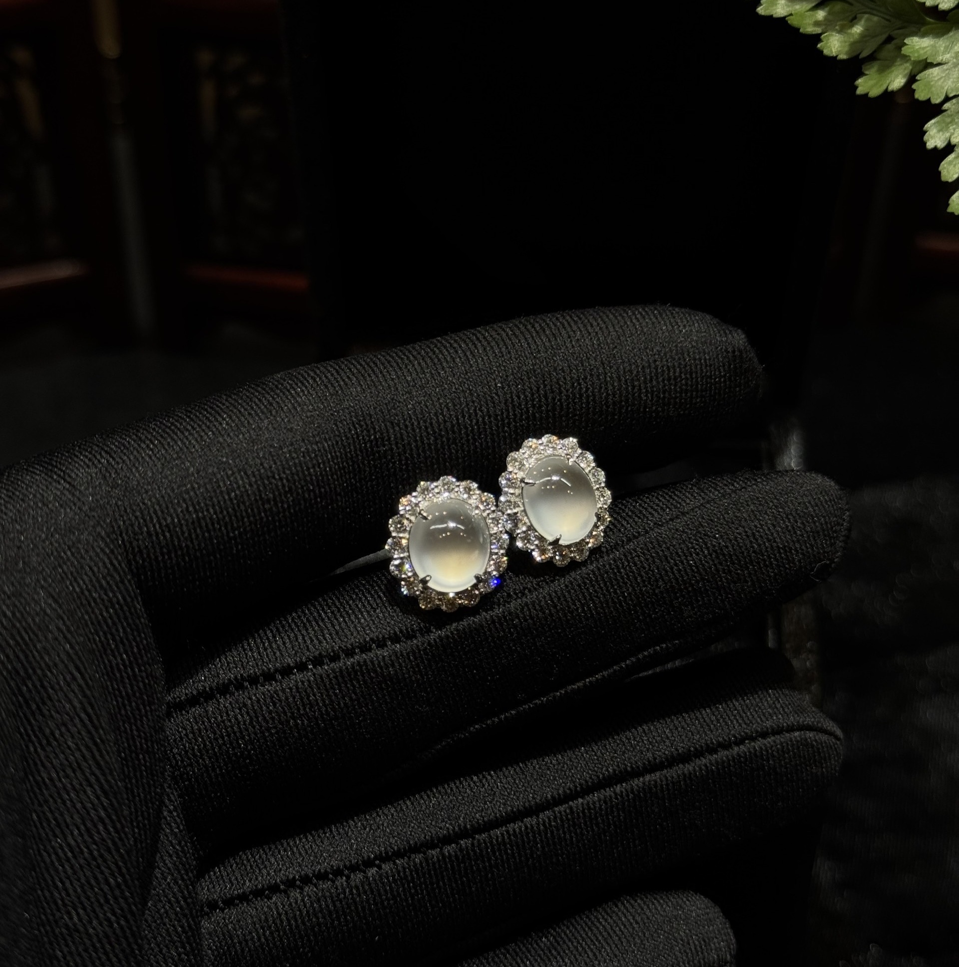 Khuyên tai ngọc phỉ thuý thuỷ tinh chủng Khuyên tai ngọc phỉ thuý thuỷ tinh chủng - Ảnh 9