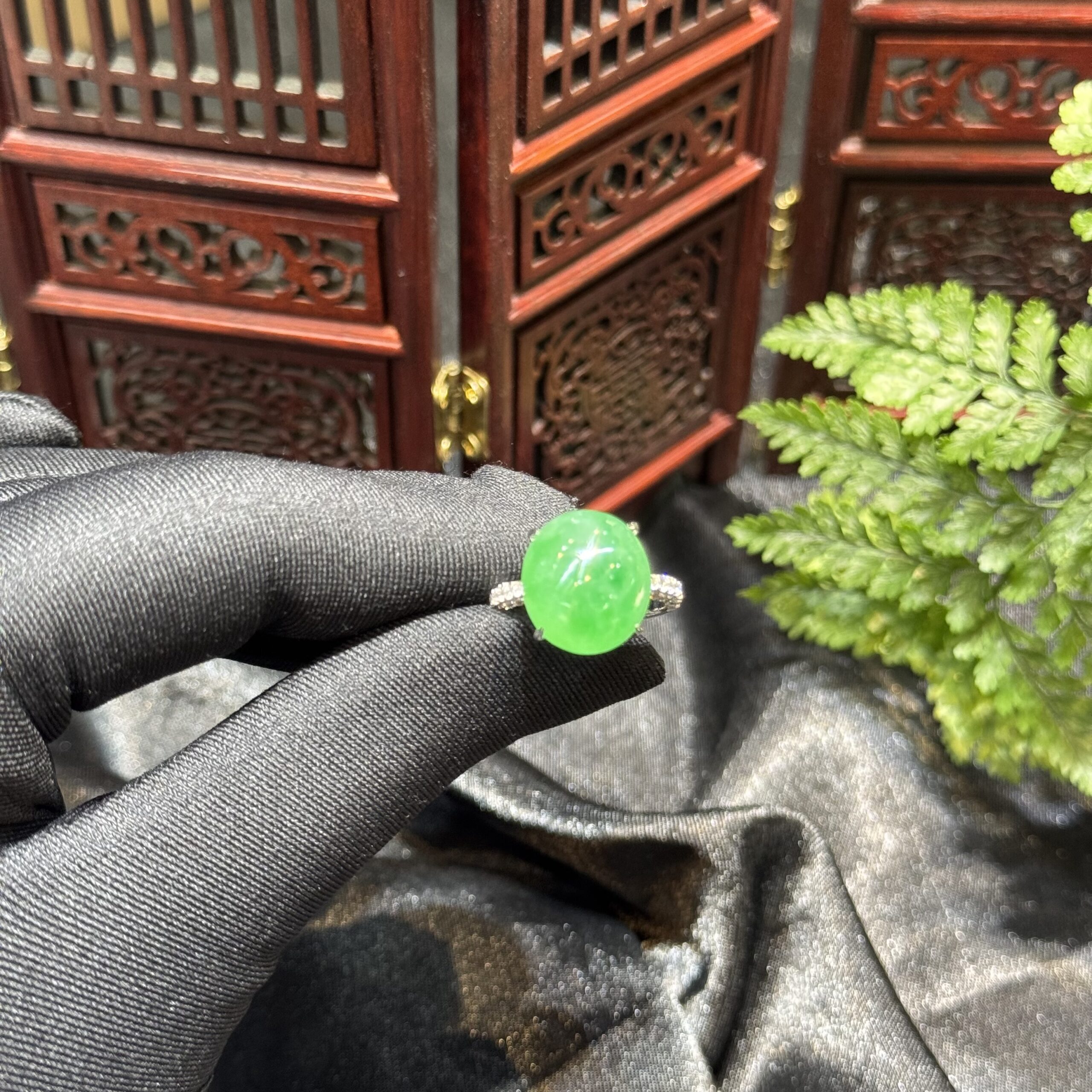 Nhẫn ngọc phỉ thuý băng dương lục Nhẫn ngọc phỉ thuý băng dương lục - Ảnh 5