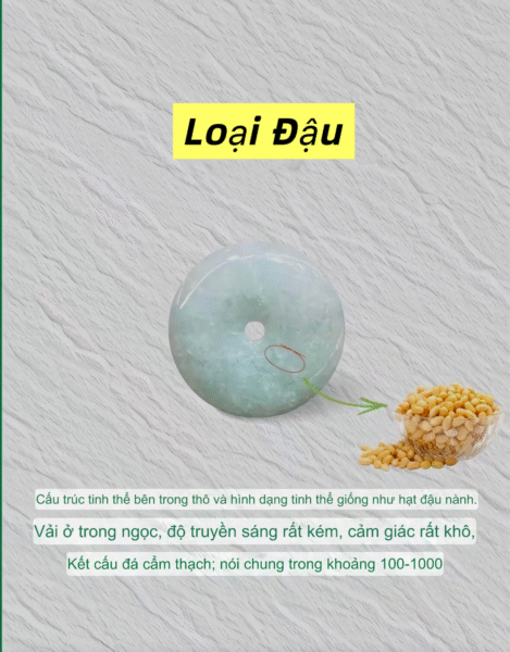 5 Phút Nhận Diện Chủng (Nước) Của Ngọc Phỉ Thuý