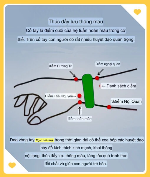 Lợi Ích Của Việc Đeo Vòng Phỉ Thuý Theo Y Học Cổ Truyền