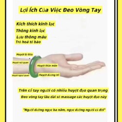 Lợi Ích Của Việc Đeo Vòng Phỉ Thuý Theo Y Học Cổ Truyền