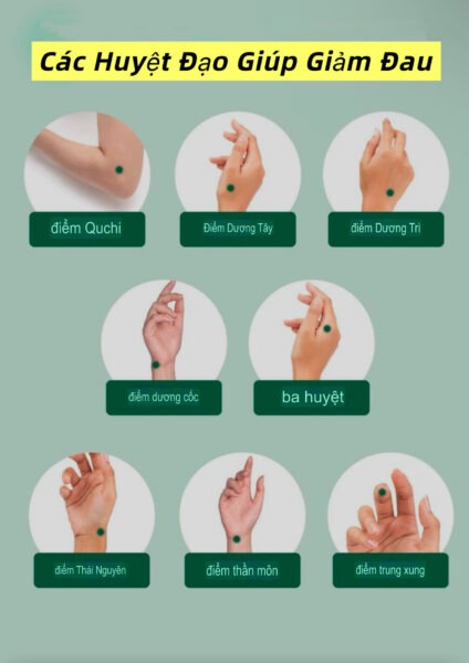 Lợi Ích Của Việc Đeo Vòng Phỉ Thuý Theo Y Học Cổ Truyền