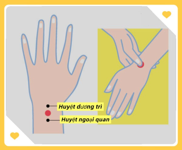 Lợi Ích Của Việc Đeo Vòng Phỉ Thuý Theo Y Học Cổ Truyền