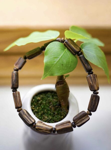 Trầm hương là gì? quá trình hình thành và công dụng của trầm hương.