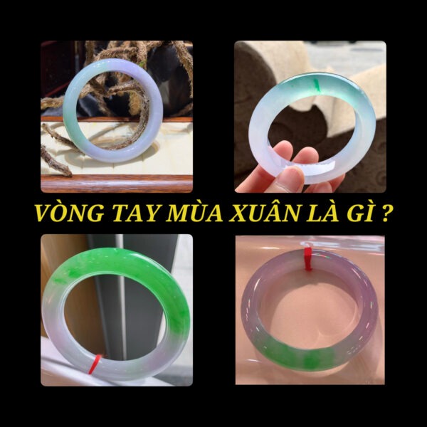 Vòng Tay Mùa Xuân Là Gì? Tại Sao Nó Lại Được Ưa Thích Đến Vậy?