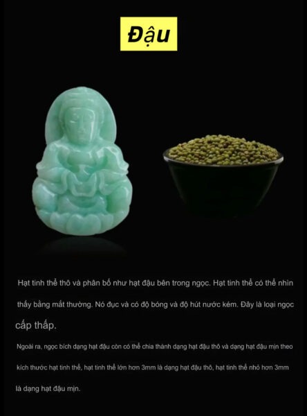 Phân Loại "Chủng" Ngọc Phỉ Thuý Phân Loại "Chủng" Ngọc Phỉ Thuý