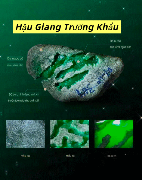 Các Mỏ Ngọc Phỉ Thuý Và Đặc Điểm Khi Muốn Chơi Ngọc Thô