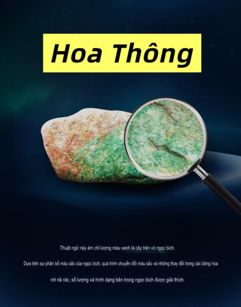 Các Mỏ Ngọc Phỉ Thuý Và Đặc Điểm Khi Muốn Chơi Ngọc Thô