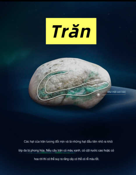 Các Mỏ Ngọc Phỉ Thuý Và Đặc Điểm Khi Muốn Chơi Ngọc Thô