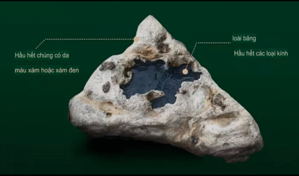 Các Mỏ Ngọc Phỉ Thuý Và Đặc Điểm Khi Muốn Chơi Ngọc Thô