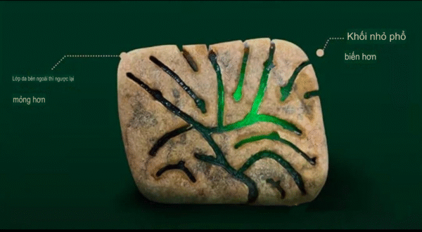 Các Mỏ Ngọc Phỉ Thuý Và Đặc Điểm Khi Muốn Chơi Ngọc Thô