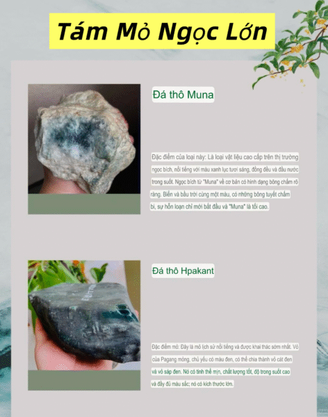 Các Mỏ Ngọc Phỉ Thuý Và Đặc Điểm Khi Muốn Chơi Ngọc Thô