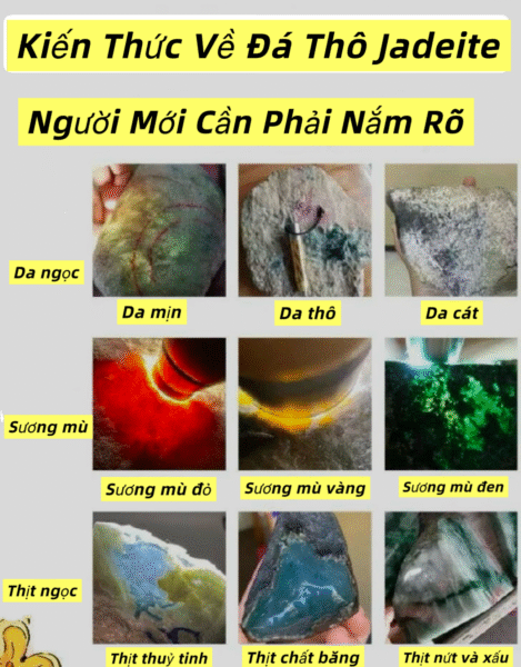 Tìm hiểu về sự hình thành ngọc - điều quan trọng đầu tiên khi bắt đầu chơi ngọc.