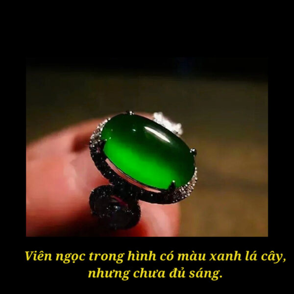 Phỉ Thuý "Chính Dương Xanh" Là Gì? Có Phải Tất Cả Các Màu Đều Là Dương Xanh?