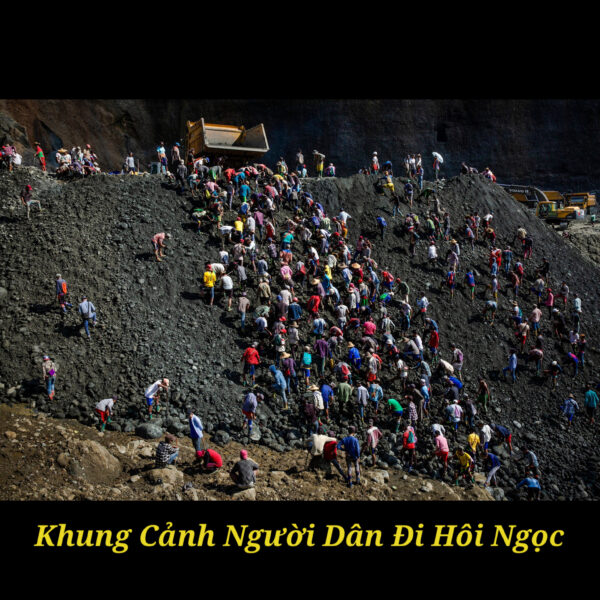 Vì Sao Ngọc Phỉ Thuý Lại Có Giá Cao Đến Như Vậy?