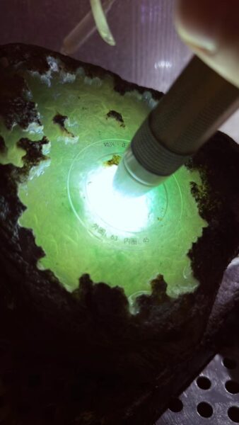 Tại Sao Phỉ Thuý Hoa Bay Lại Được Ưa Chuộng Đến Như Vậy?