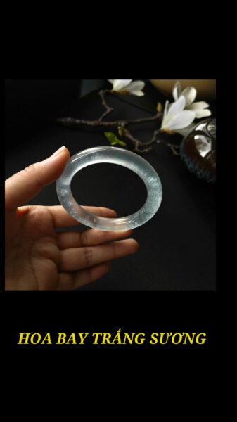 Tại Sao Phỉ Thuý Hoa Bay Lại Được Ưa Chuộng Đến Như Vậy?