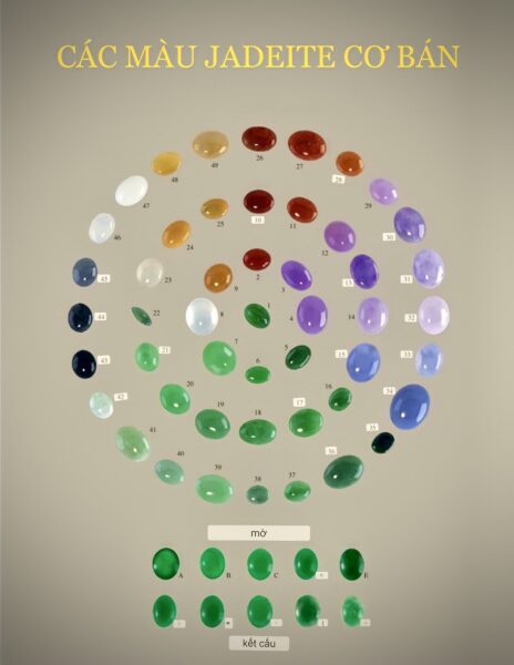 Giúp Bạn Lựa Chọn Chiếc Vòng Tay Ngọc Đầu Tiên Trong Đời Thật Tỉnh Táo.