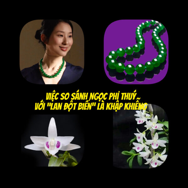 Ngọc Phỉ Thuý Có Thực Sự Đang Bị Thổi Phồng Giá Trị? Có Hay Không Kết Cục "Sập Thị Trường" Giống Như "Lan Đột Biến" Một Thời !!