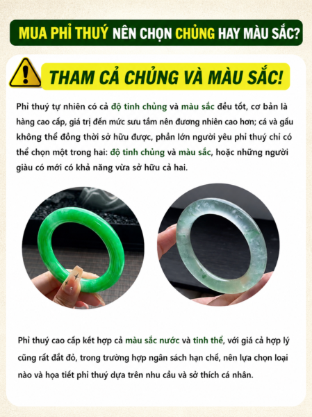 Đừng Vì Hai Chữ "Nhập Môn" Mà Tuỳ Tiện Chọn Một Chiếc Vòng Phỉ Thuý. Đừng Vì Hai Chữ "Nhập Môn" Mà Tuỳ Tiện Chọn Một Chiếc Vòng Phỉ Thuý.