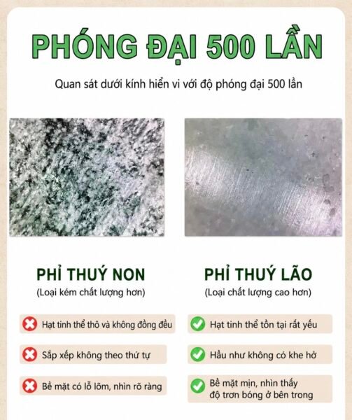 Vì Sao Lại Có Sự Chênh Lệch Giá Trị Giữa Các Chủng Phỉ Thuý ??? Vì Sao Lại Có Sự Chênh Lệch Giá Trị Giữa Các Chủng Phỉ Thuý ???