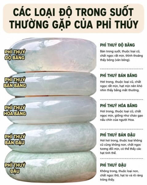 Vì Sao Lại Có Sự Chênh Lệch Giá Trị Giữa Các Chủng Phỉ Thuý ??? Vì Sao Lại Có Sự Chênh Lệch Giá Trị Giữa Các Chủng Phỉ Thuý ???