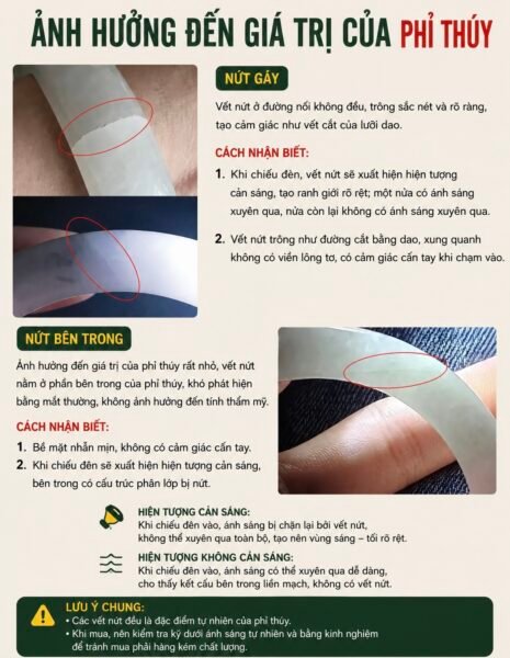 Vì Sao Lại Có Sự Chênh Lệch Giá Trị Giữa Các Chủng Phỉ Thuý ??? Vì Sao Lại Có Sự Chênh Lệch Giá Trị Giữa Các Chủng Phỉ Thuý ???