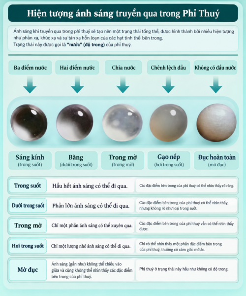 Vì Sao Lại Có Sự Chênh Lệch Giá Trị Giữa Các Chủng Phỉ Thuý ??? Vì Sao Lại Có Sự Chênh Lệch Giá Trị Giữa Các Chủng Phỉ Thuý ???